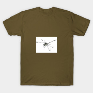 Lullaby T-Shirt